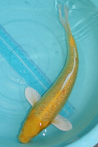 20111120 163-200.jpg